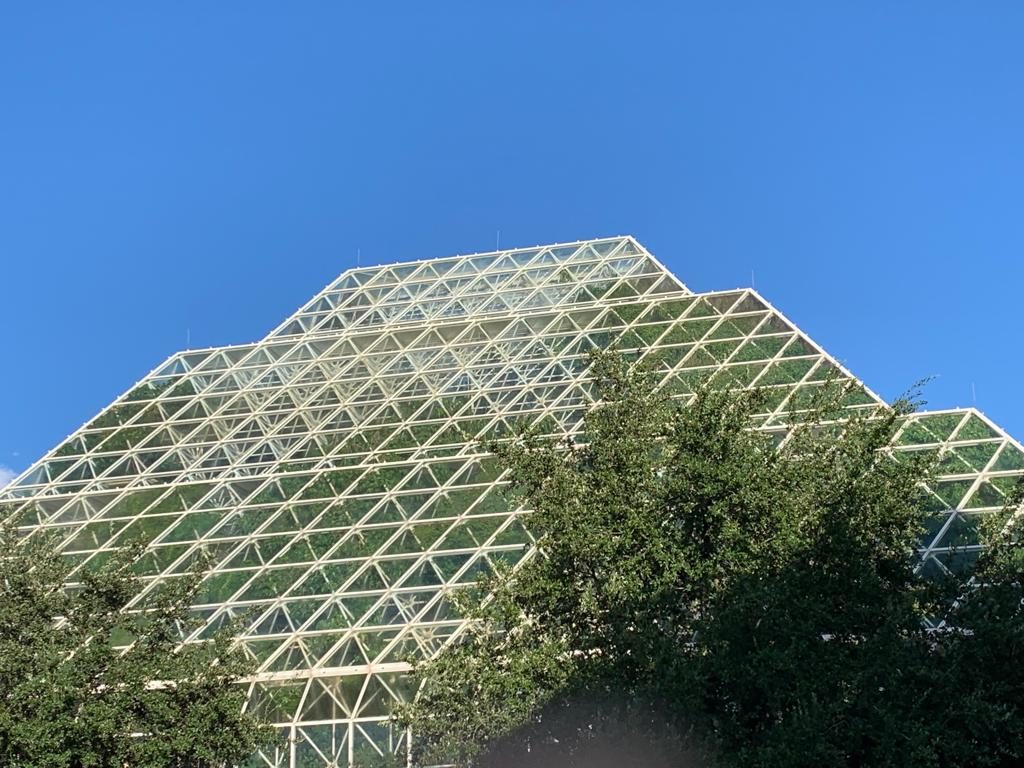 arizona 2