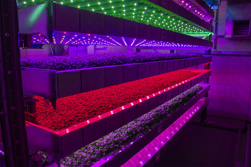 Read more about the article IGS intelligent system design – FTS finds out more