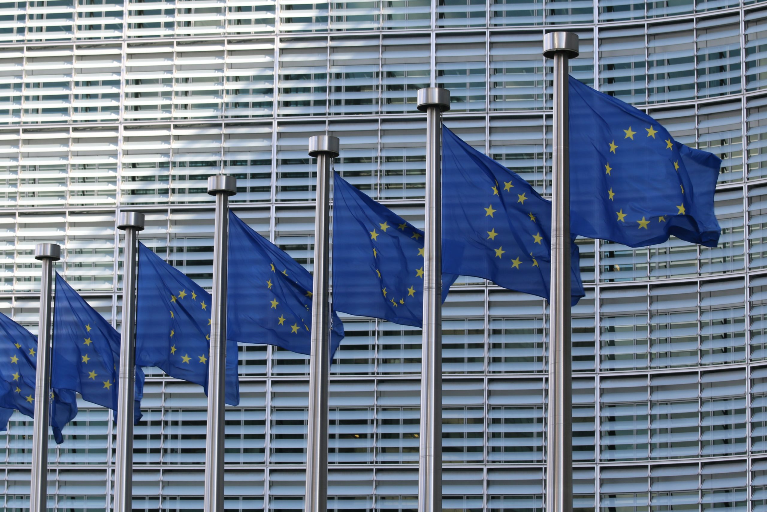 You are currently viewing EU biodiversity strategy and the CAP: FTS voices its opinion​